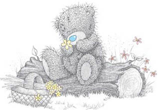 teddy bear! -   