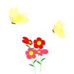 цветочки и бабочки